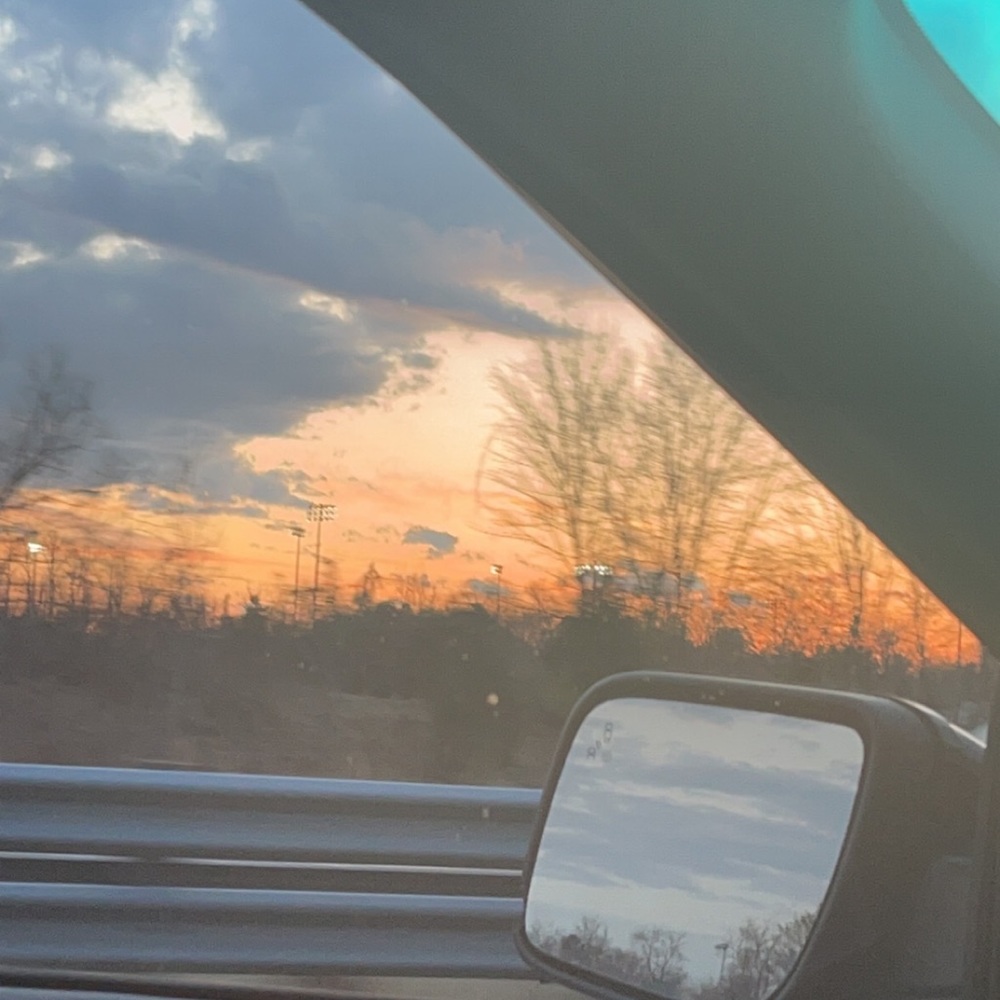 Meet your Posher, Fiona